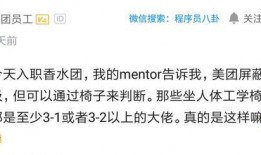 程序员最新爆料,揭秘科技行业不为人知的秘密